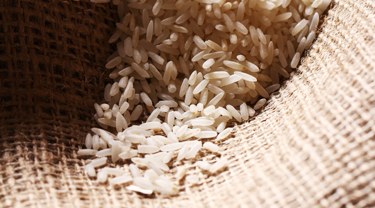 Industry Outlook 2023-2025: Rice Industry