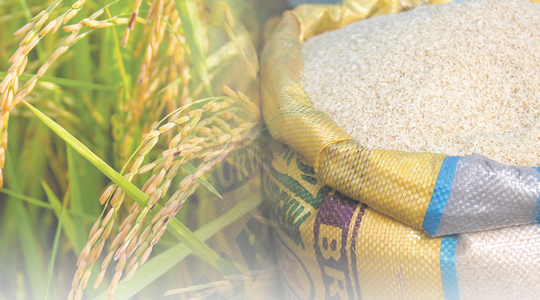 Industry Outlook 2019-2021: Rice Industry