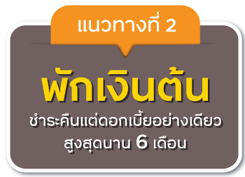 แนวทางที่ 2 พักเงินต้น
