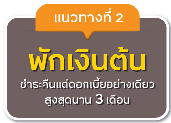 แนวทางที่ 2 พักเงินต้น